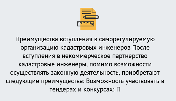 Почему нужно обратиться к нам? Нижнеудинск Что дает допуск СРО кадастровых инженеров?