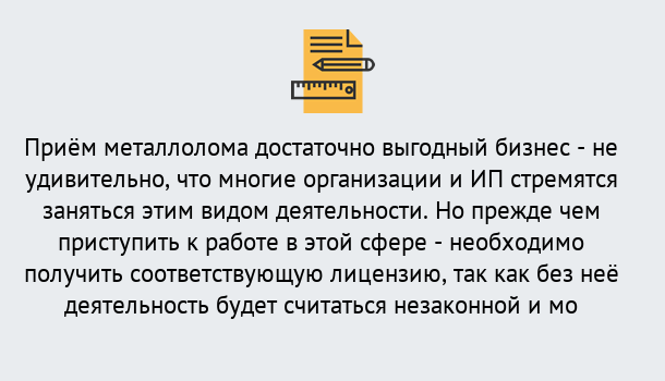 Почему нужно обратиться к нам? Нижнеудинск Лицензия на металлолом. Порядок получения лицензии. В Нижнеудинск