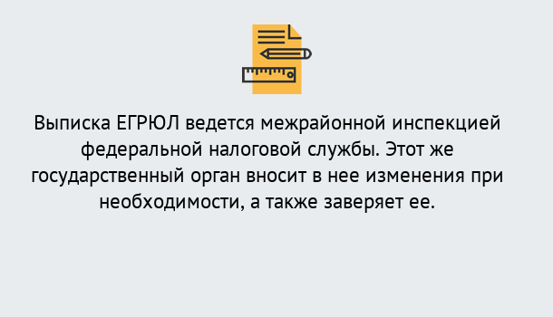 Почему нужно обратиться к нам? Нижнеудинск Выписка ЕГРЮЛ в Нижнеудинск ?