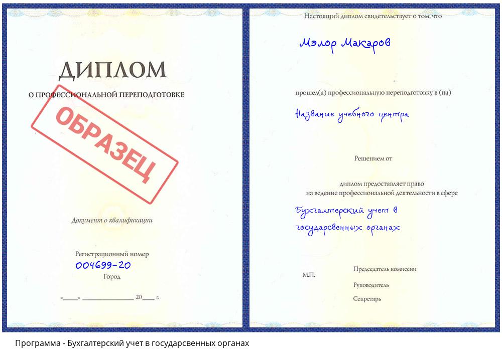 Бухгалтерский учет в государсвенных органах Нижнеудинск