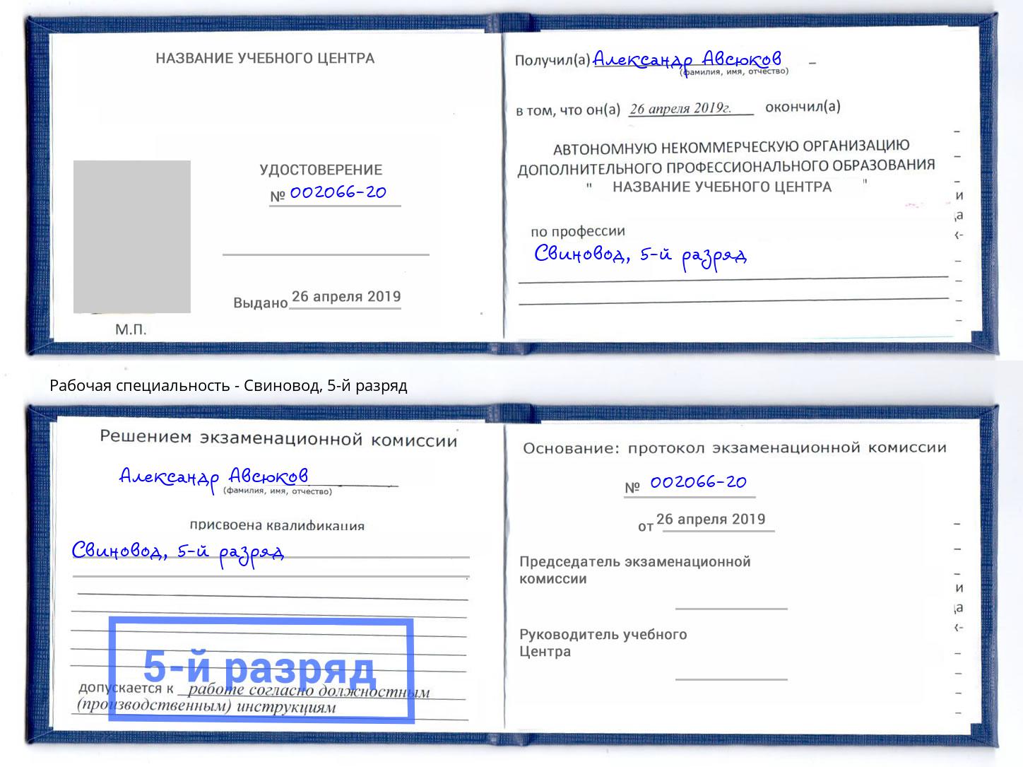 корочка 5-й разряд Свиновод Нижнеудинск